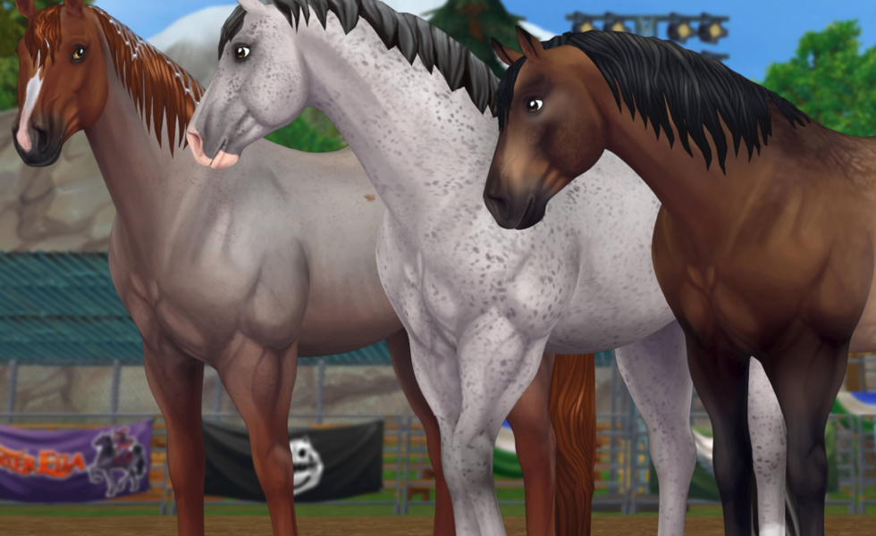 36+ Star stable horses how to level up fast information